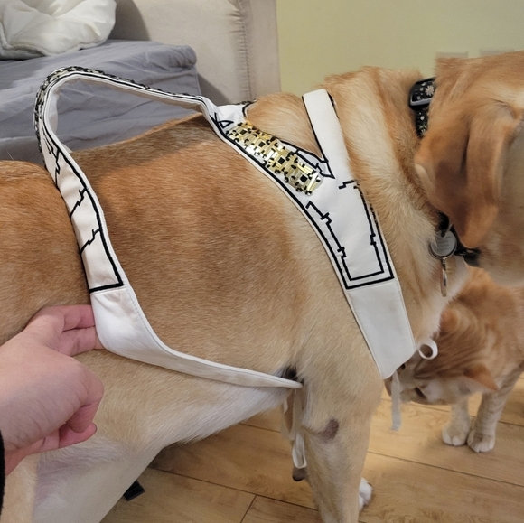 NEW Sass and Bide honourable friend embroidered beaded wedding harness dogs - Picture 3 of 8